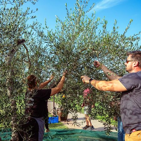 Agriturismo Biologico Diacceroni Villamagna  Ngoại thất bức ảnh