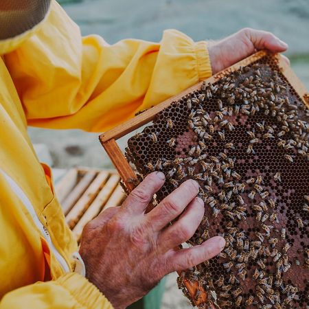 Agriturismo Biologico Diacceroni Villamagna  Ngoại thất bức ảnh