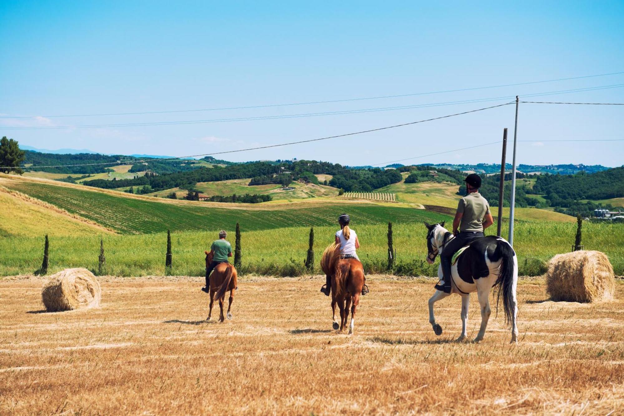 Agriturismo Biologico Diacceroni Villamagna  Ngoại thất bức ảnh