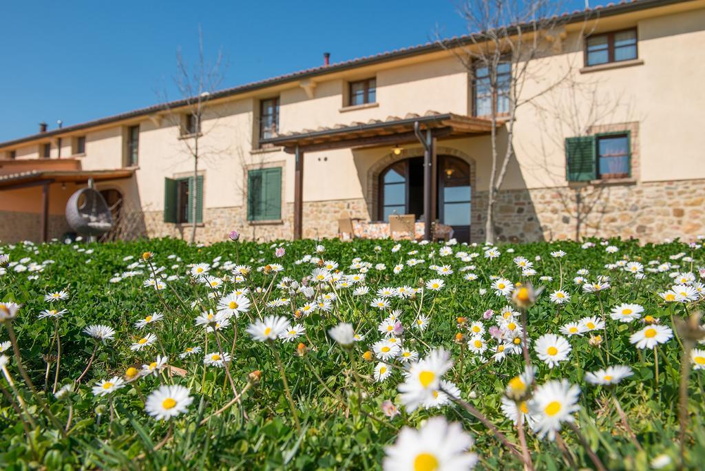 Agriturismo Biologico Diacceroni Villamagna  Ngoại thất bức ảnh